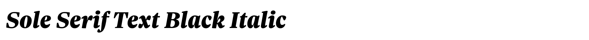 Sole Serif Text Black Italic image